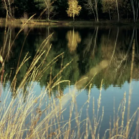 Cardaillac : Plan d'Eau des Sagnes