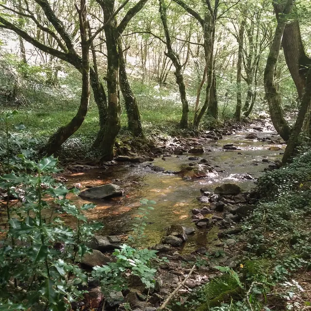 Circuit de la Vallée Heureuse_09 © Lot Tourisme - A. Leconte