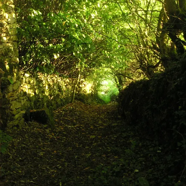 Cavagnac : Passage en sous Bois