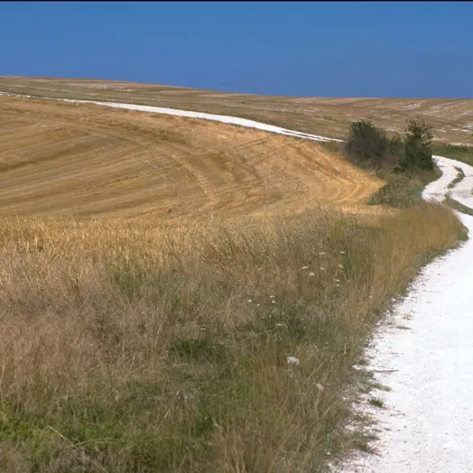 Chemin Blanc