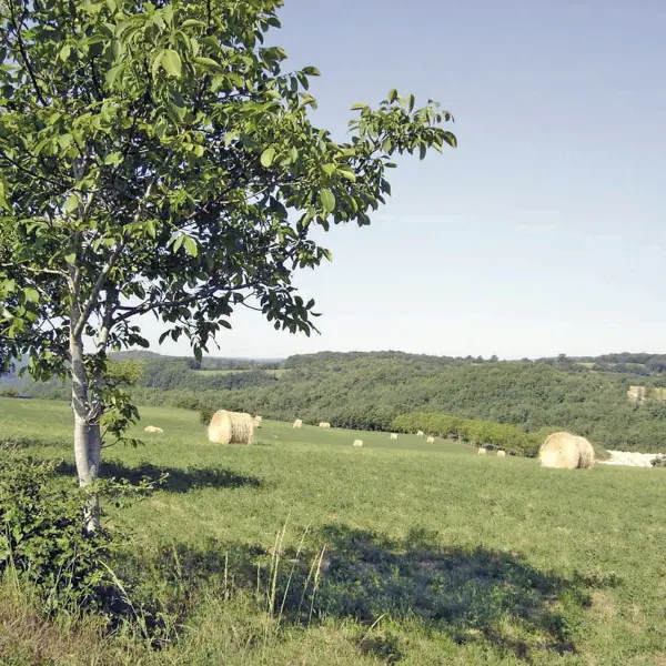 La Vallée du Vert