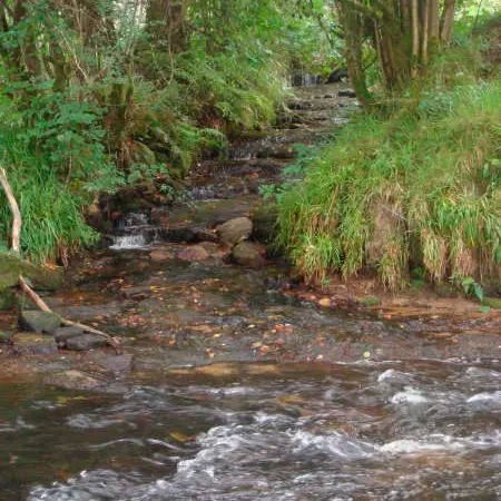 Ruisseau
