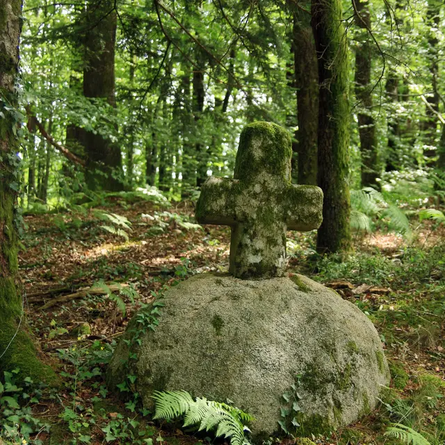 Comiac VD12 -Lac de vergnes.Comiac.Croix vers le hameau de Proupech©M.Légeron