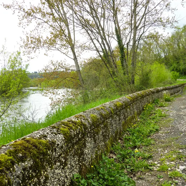 Creysse - Balade sur les berges de la Dordogne © Lot Tourisme - C. Sanchez