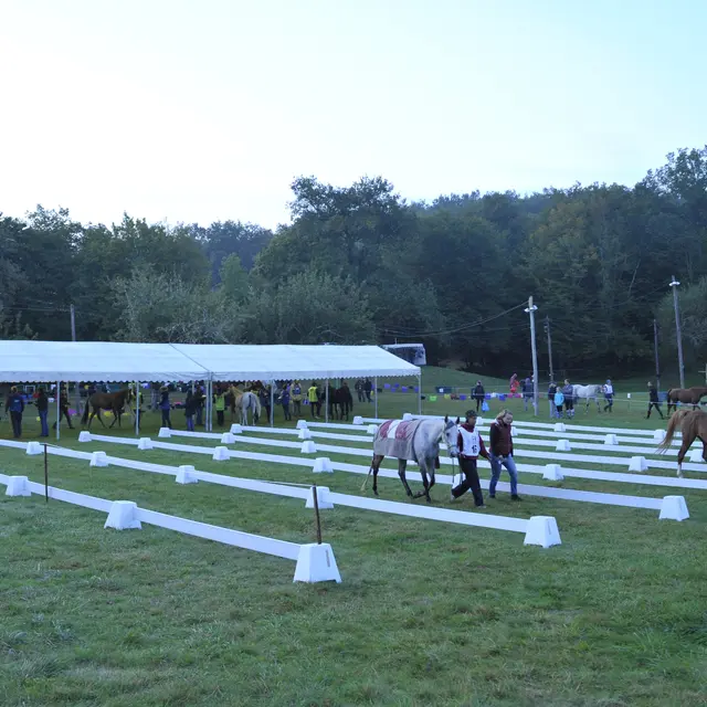 Cours équestre endurance Dégagnazès