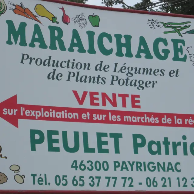 DEGMIP046V50RT4X_3La plaine marîchère