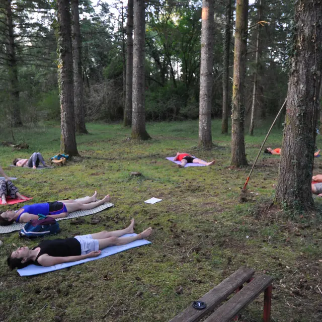 yoga en forêt