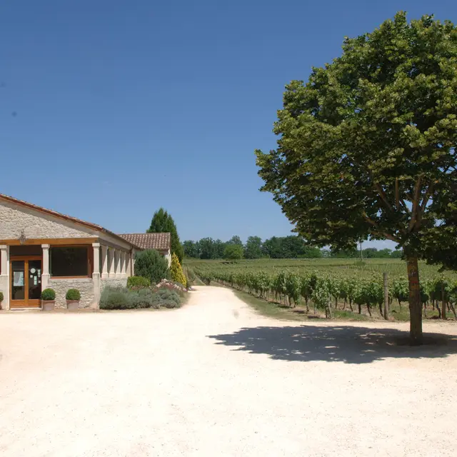 Château la Coustarelle