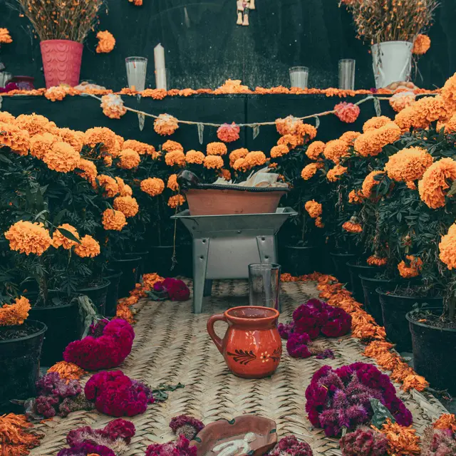 Dia de los muertos - Roger Ce