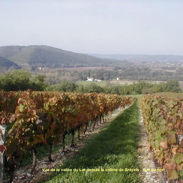 Domaine Dhoste Chevalier