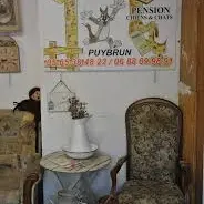 Domaine des Bois Puybrun