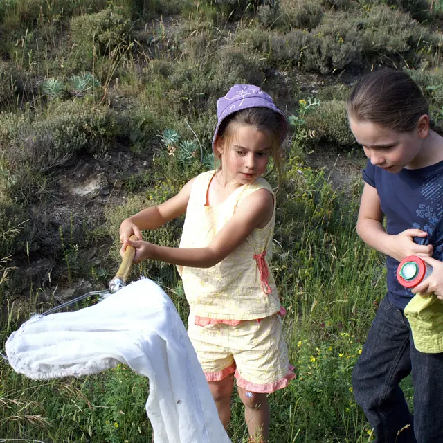 Animation-découverte des petites bêtes des prairies