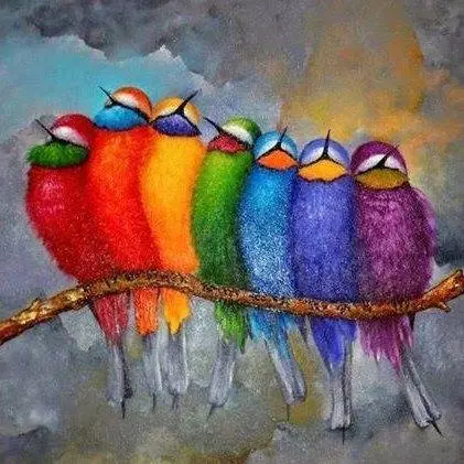 Envol oiseaux