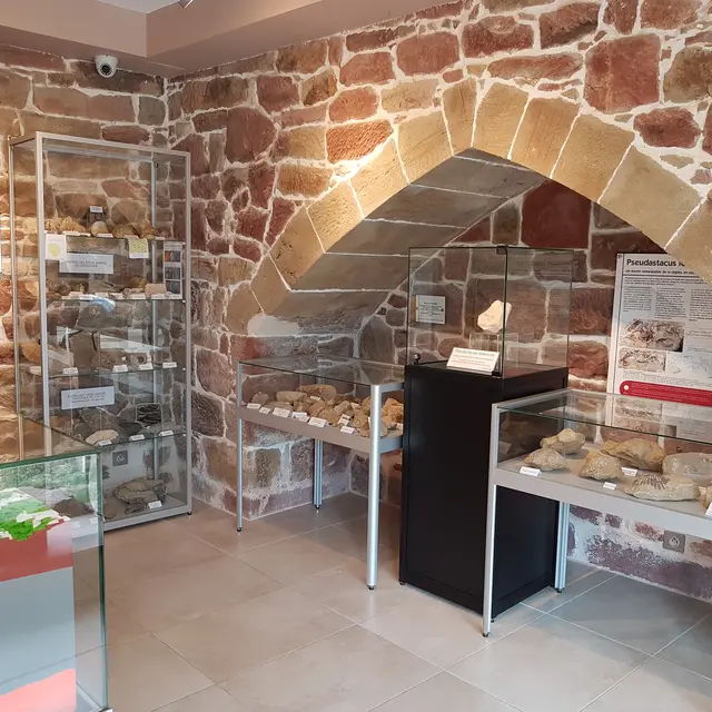 Espace Découverte Noailhac -