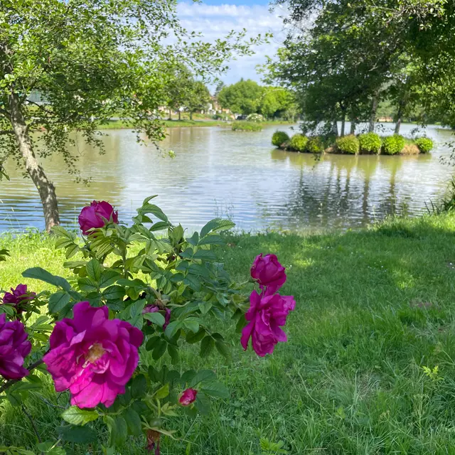 Etang de Payrignac