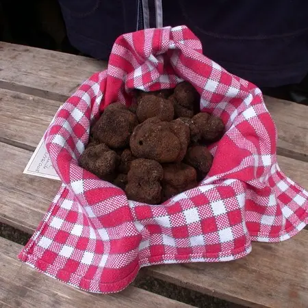 Truffe
