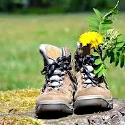 chaussures randos