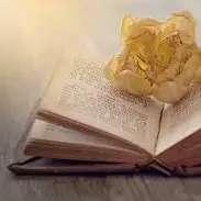 livre