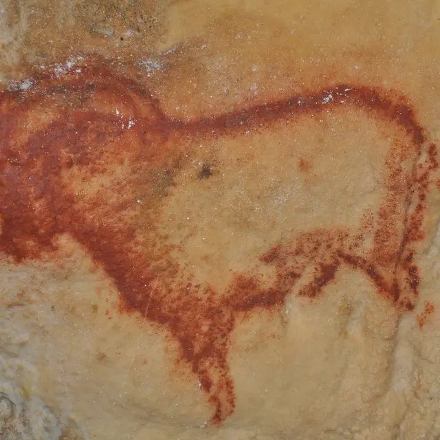 Visite commentée des grottes préhistoriques de Cougnac
