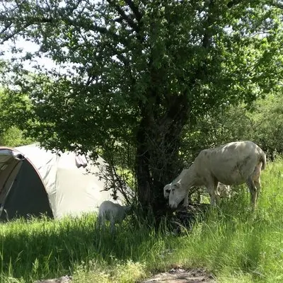 Ferme en Paille Gramat