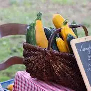 Ferme Bouscarel