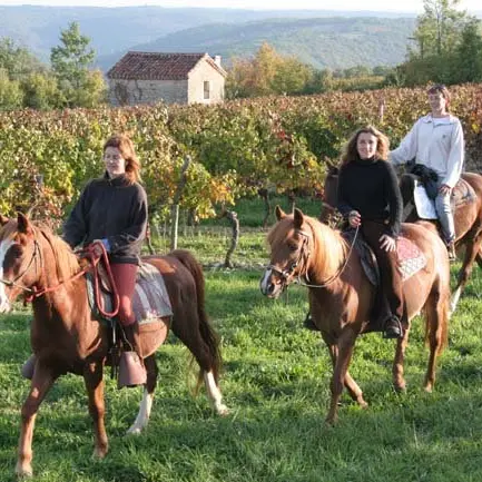 Ferme équestre Lafontaine - Montcléra