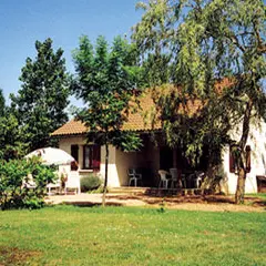 22-061