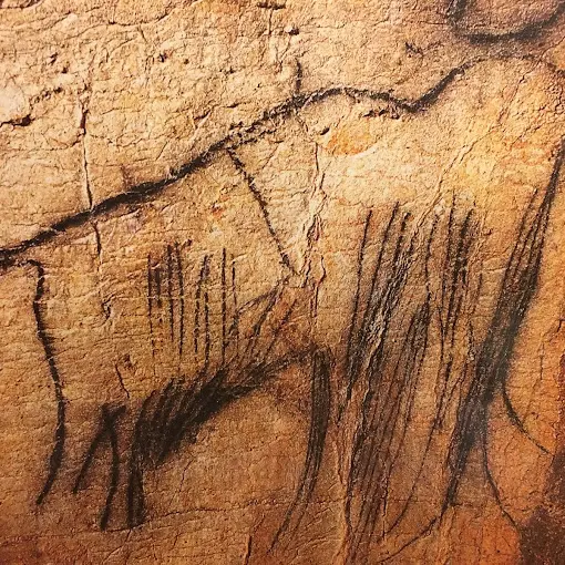 Grotte - Mammouth