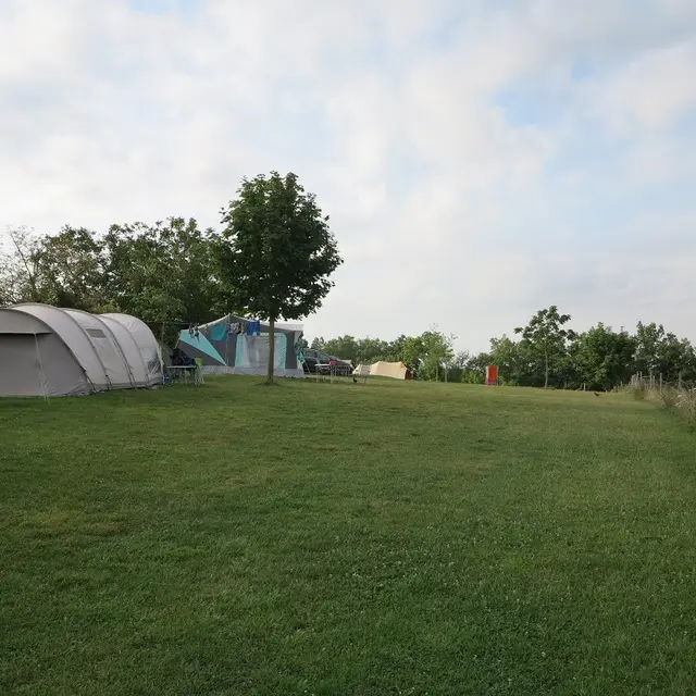 DOMAINE LES GONIES