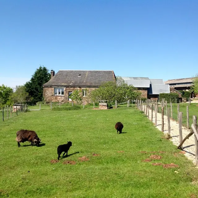 Ferme de Brossard - Ferme Pédagogique
