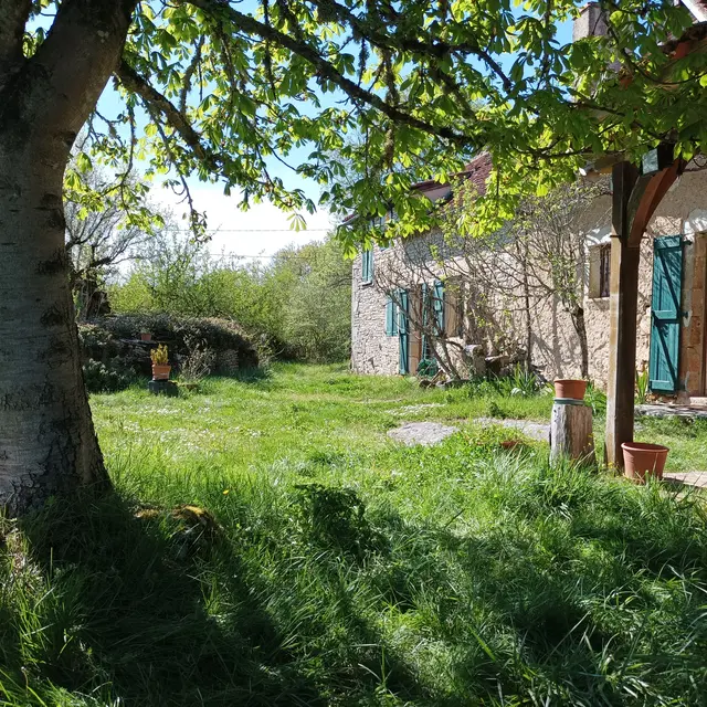 Jardin