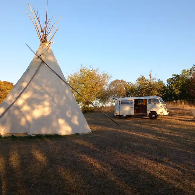 tipi