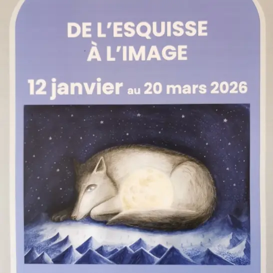 IMG_20260119_111332_edit_374347760713710