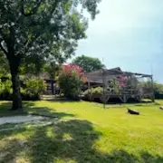 La Guinguette du Vieux Chêne