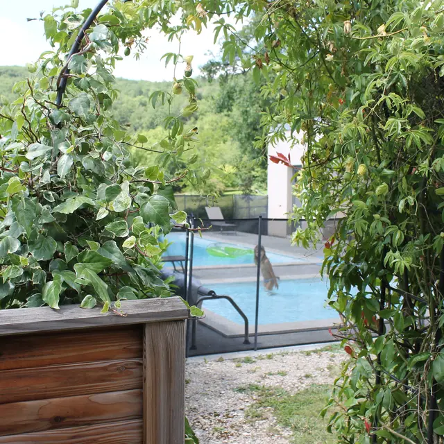 espace piscine vue de la terrasse Grange