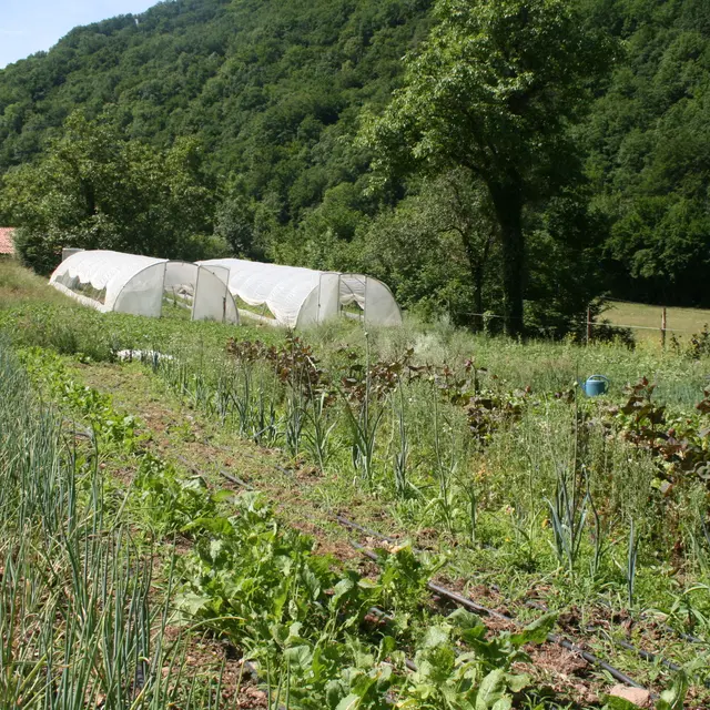 La Vallée heureuse_ladirat_Champs