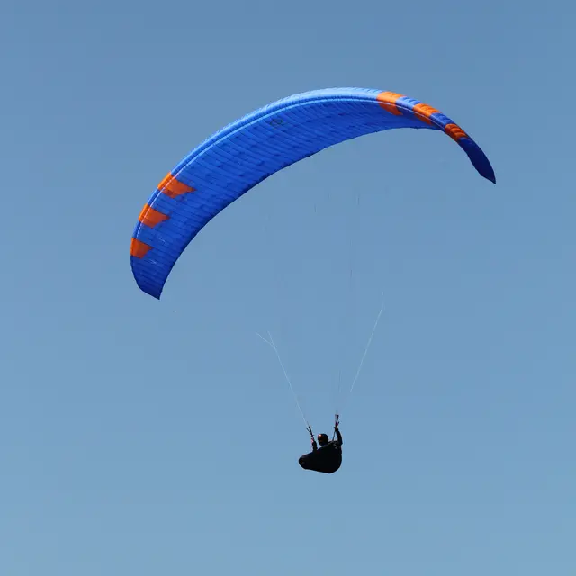 IMG_8091