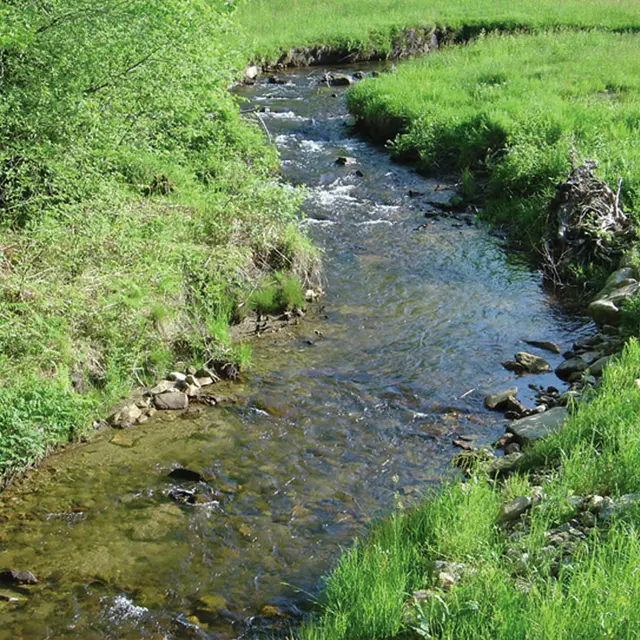 Sousceyrac : Ruisseau du Cayla