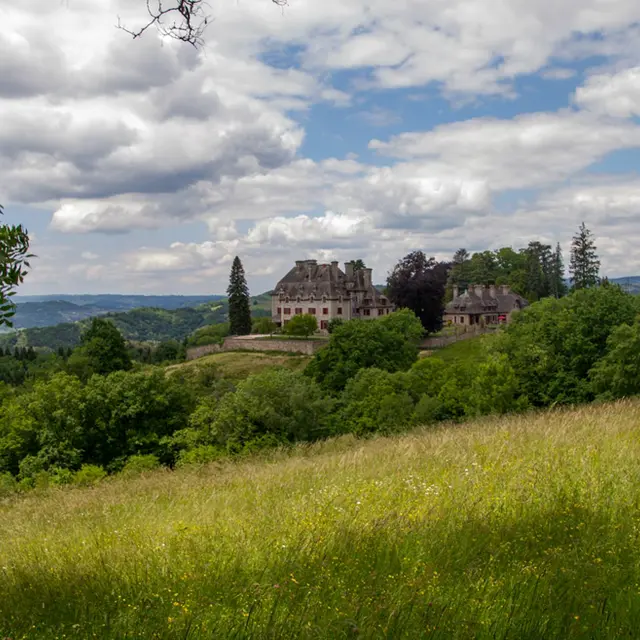 Vue de loin château du Doux