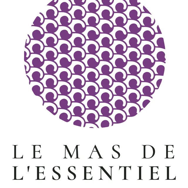 Mas de l'essentiel