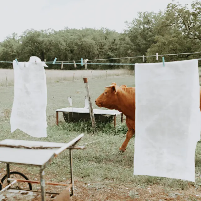 JJAKPhotographe Photo couverture