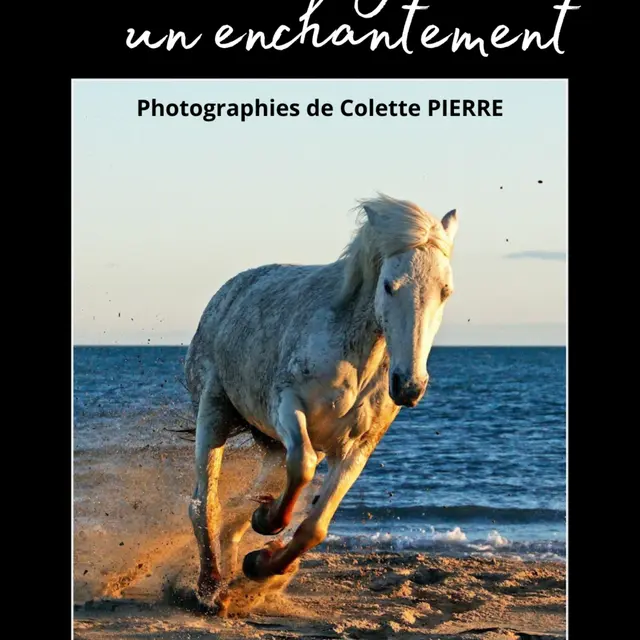 LA-CAMARGUE-UN-ENCHANTEMENT-1-980x1386
