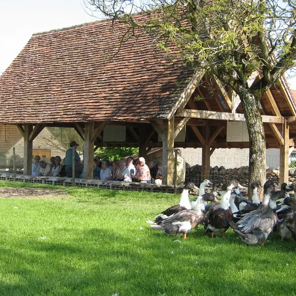 La Ferme des Campagnes