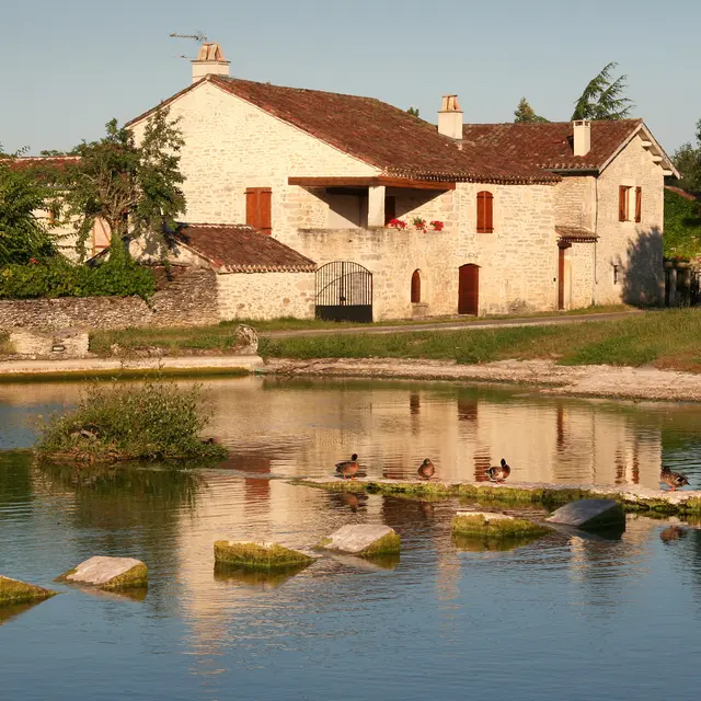 Aujols - Lavoir Papillon