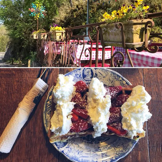 Le Saint Cirq Gourmand