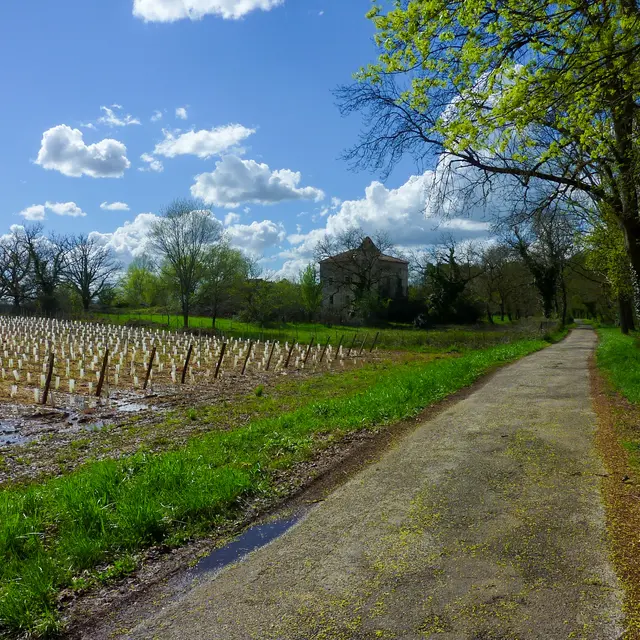 Les tuileries - Passage entre les vignes et le Lot © Lot Tourisme - C. Sanchez