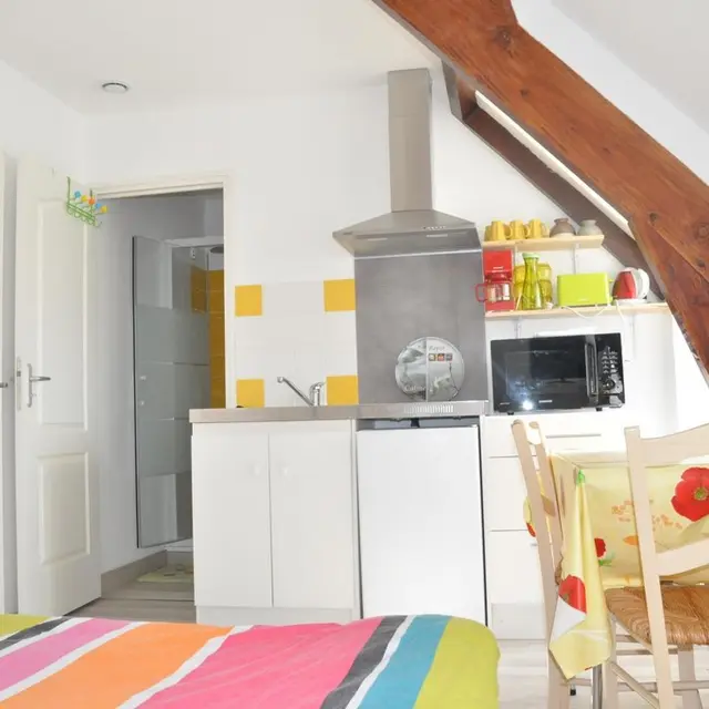 LocationStudioJaune-LouPeDeGril-Curemonte_kitchenette