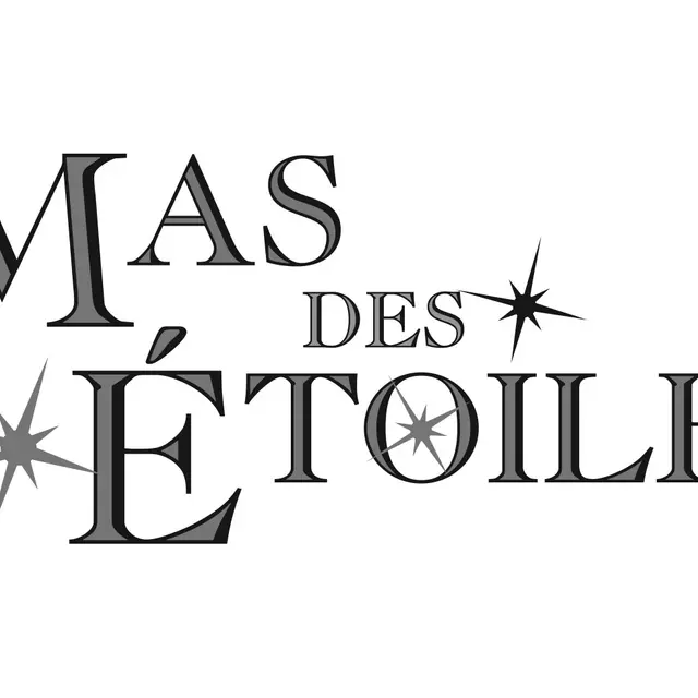 Logo Mas noir et blanc