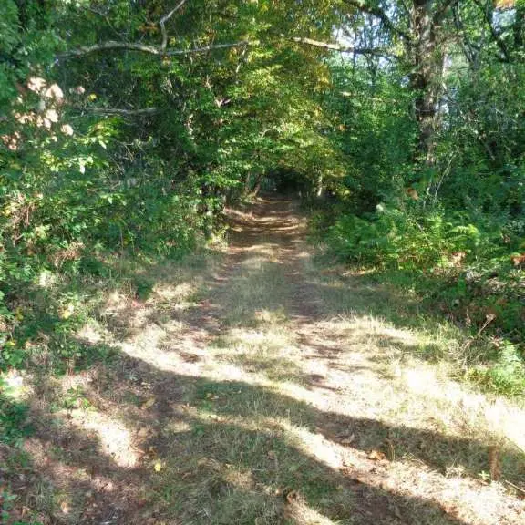 Lostanges - GRPMC 1 - VTT