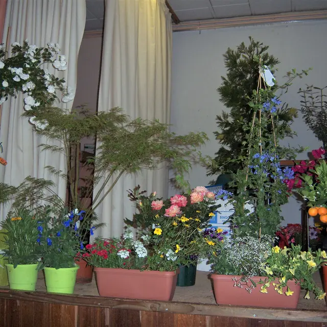 Loto des fleurs